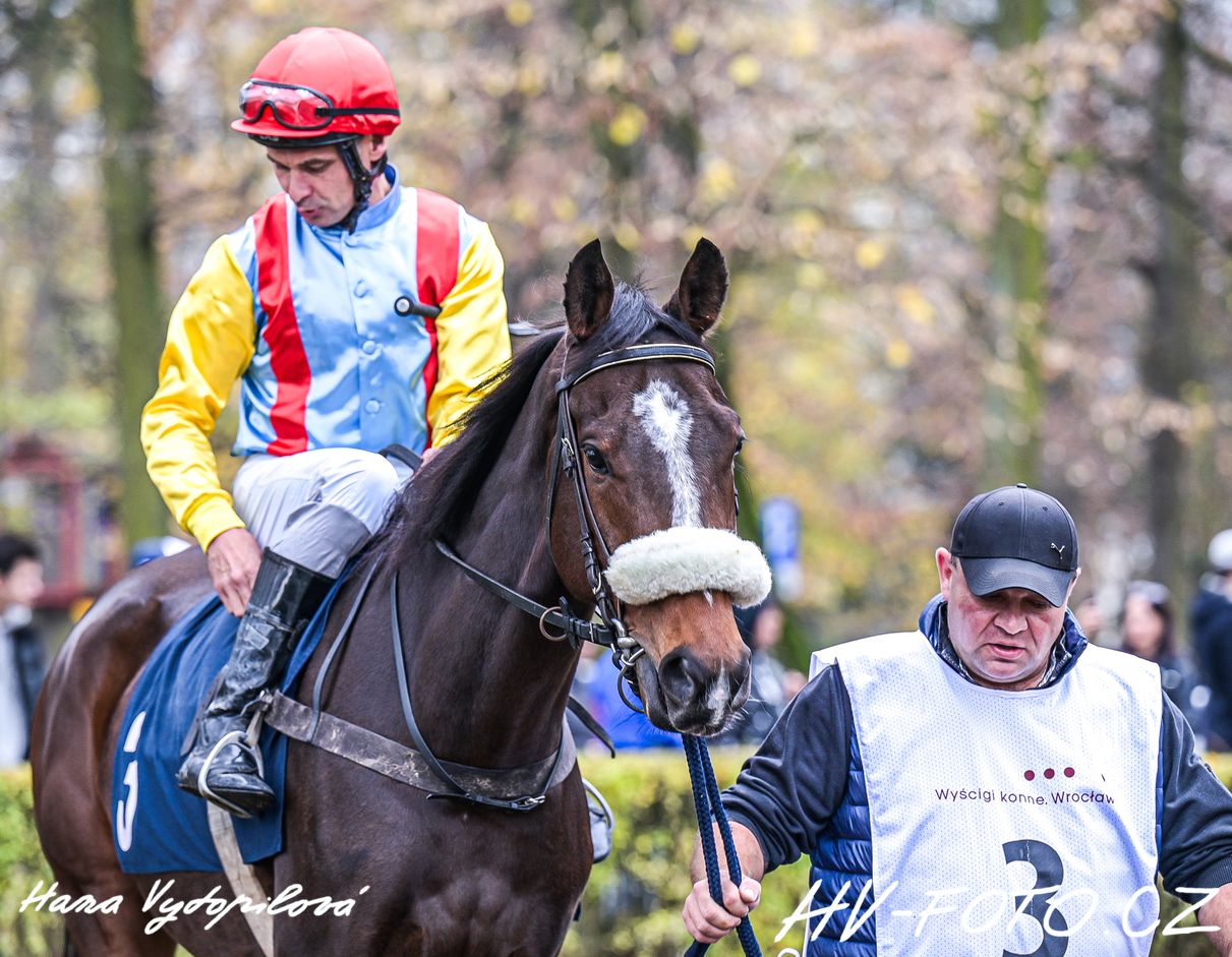 DSC_1096 kopie.jpg